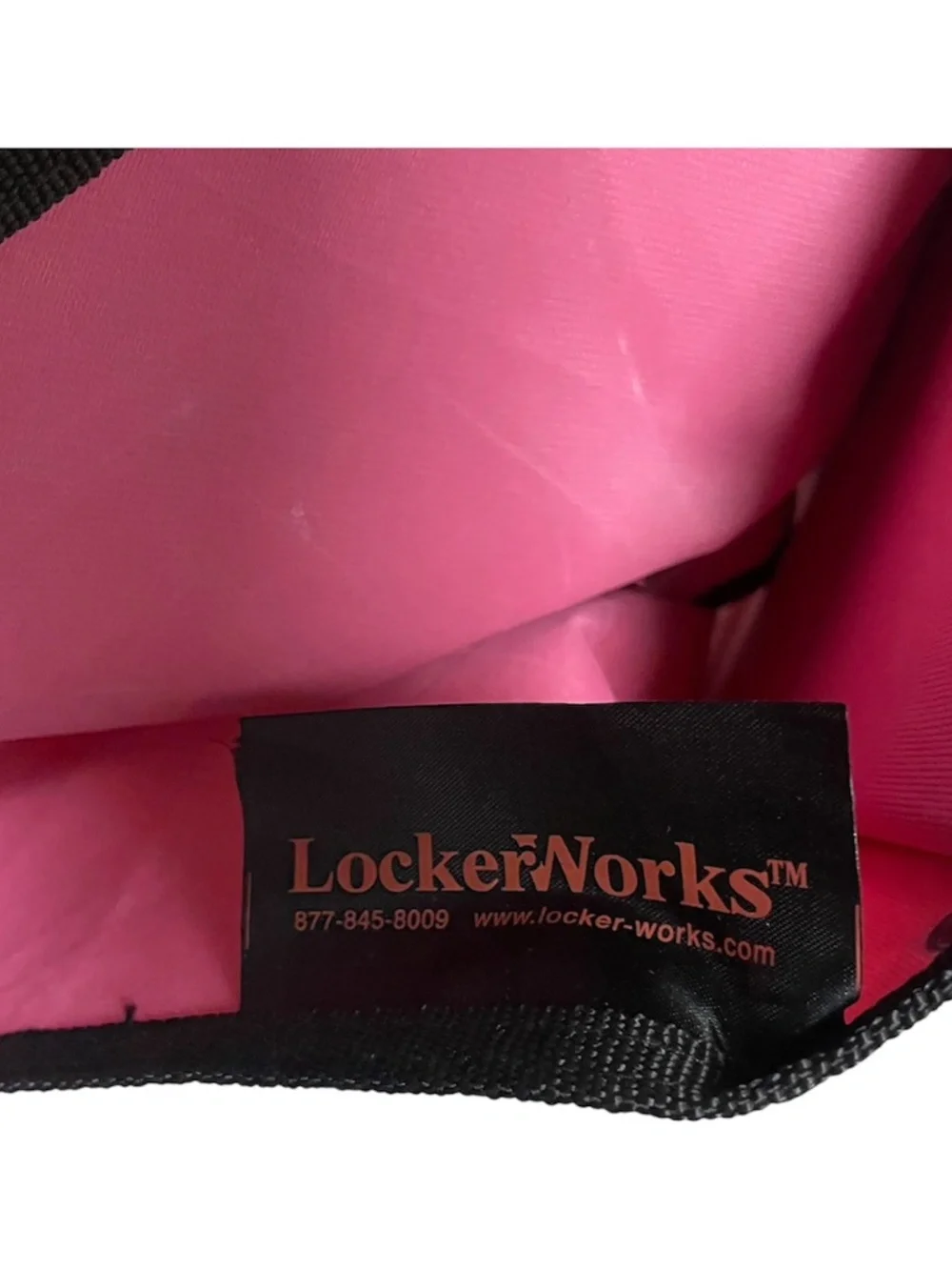 LockerWorks Pink Hanging Locker/Closet Organizer